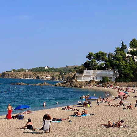 Studio 07 Argeles Sur Mer . La Plage A Pied, L'Espagne A 30 Mn Buitenkant foto
