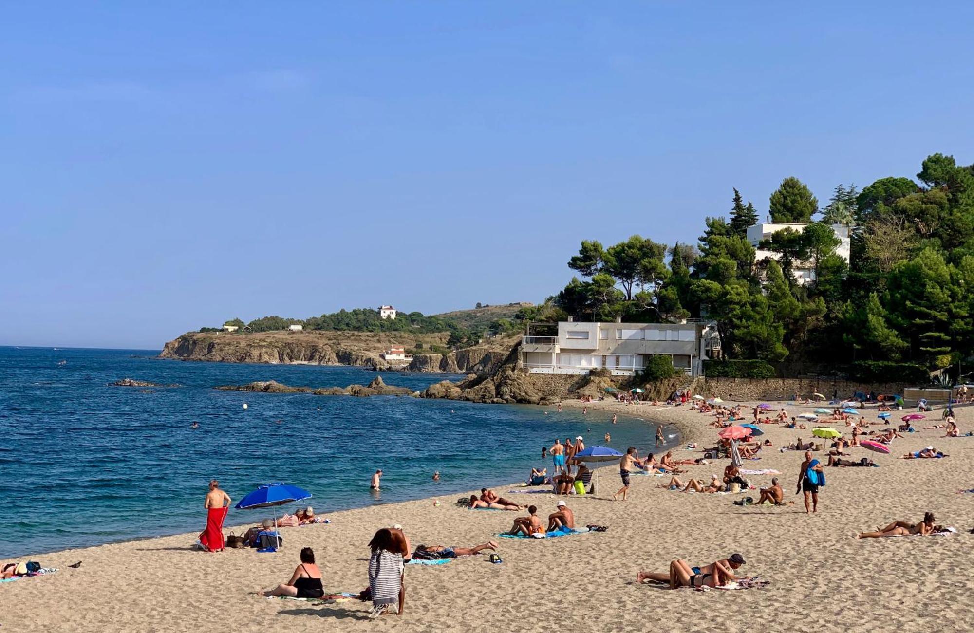 Studio 07 Argeles Sur Mer . La Plage A Pied, L'Espagne A 30 Mn Buitenkant foto